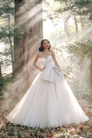 Disney Fairy Tale Weddings D437 - Snow White Image