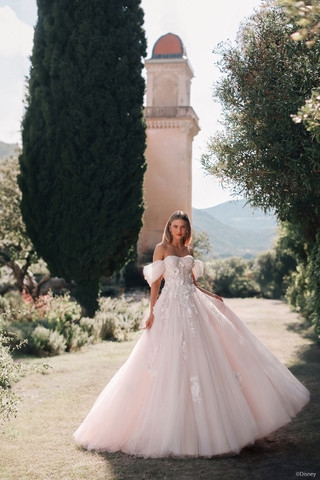 Disney Fairy Tale Weddings D436 - Rapunzel Image