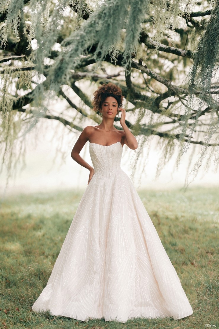 Disney Fairy Tale Weddings D478 Tiana Image