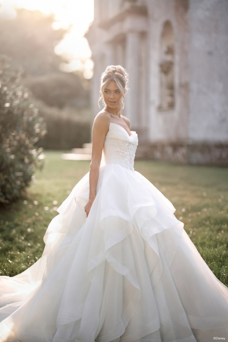 Disney Fairy Tale Weddings D463 Cinderella Image