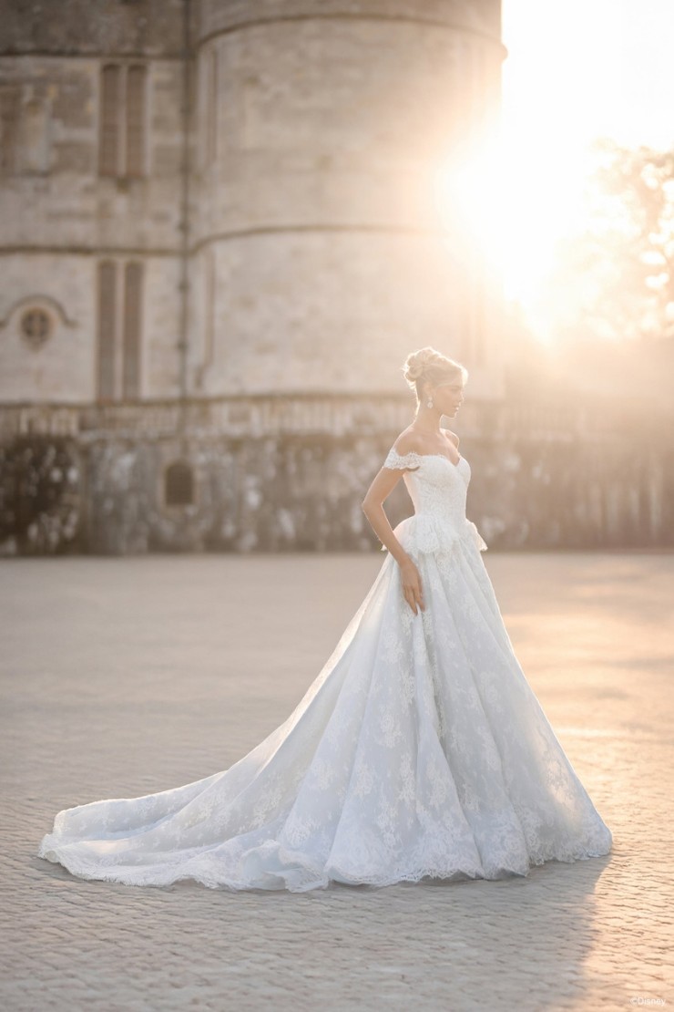 Disney Fairy Tale Weddings D473 Cinderella Image